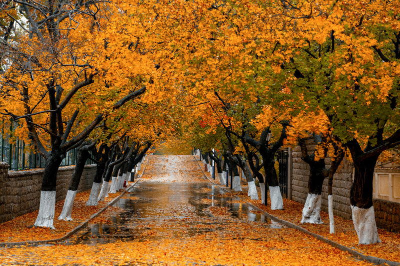 Badaguan Scenic Area