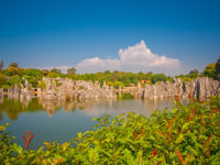 Stone Forest Scenic Area