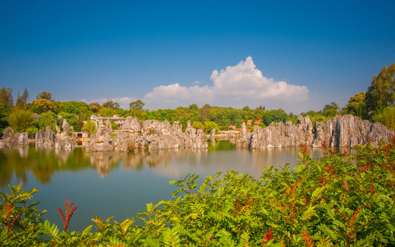 Stone Forest Scenic Area