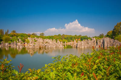 Stone Forest Scenic Area