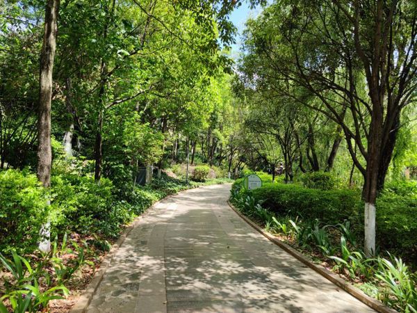 Kunming's Lotus Pond Park: Flowers, History, and New Discoveries