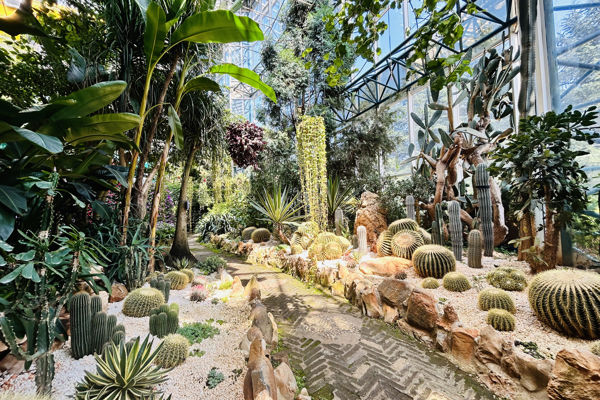 Kunming Garden Art Day: Expo & Golden Temple