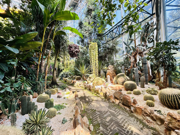 Kunming Garden Art Day: Expo & Golden Temple