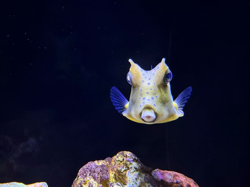 Shanghai Ocean Aquarium