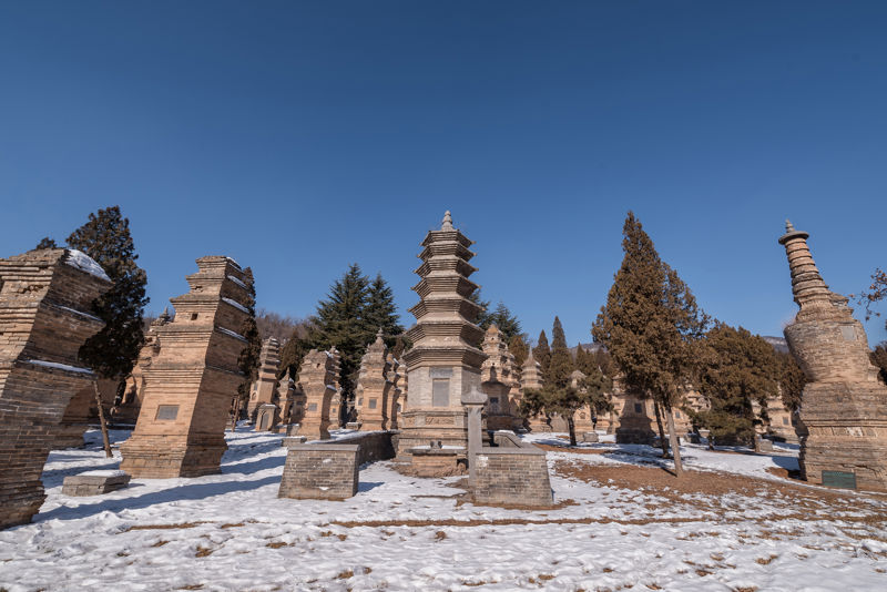 Shaolin Temple Pagoda Forest (Shaolin Scenic Area - Pagoda Forest)