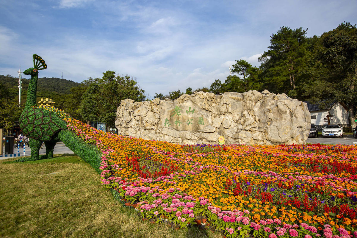 Nanjing for Kids: 3 Family-Friendly Hidden Gems You Can't Miss!