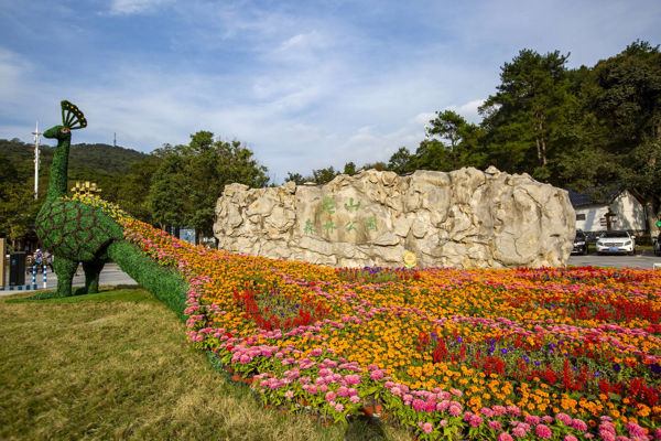 Nanjing for Kids: 3 Family-Friendly Hidden Gems You Can't Miss!