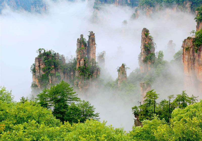 Tianzi Mountain Scenic Area