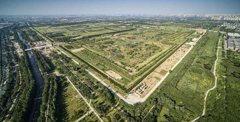 Weiyang Palace National Archaeological Site Park of Han Chang'an City