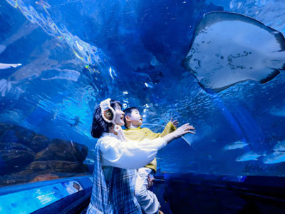 Shanghai Ocean Aquarium