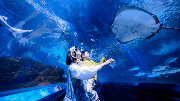 Shanghai Ocean Aquarium