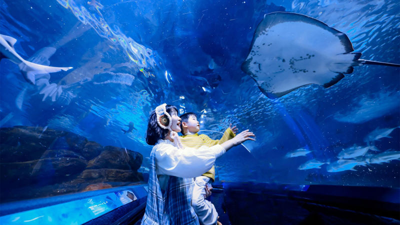 Shanghai Ocean Aquarium