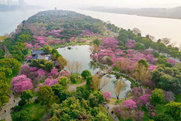 Orange Isle & Hunan Museum Classic Day Tour