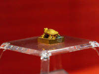 Museum of the Western Han Dynasty Mausoleum of the Nanyue King (Tomb Site Exhibition Area)