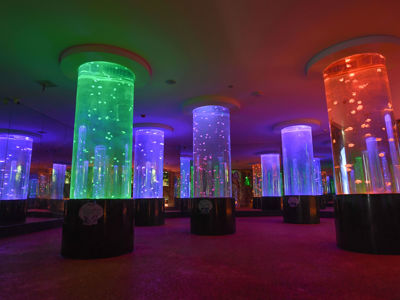 Changsha Ecological Zoo