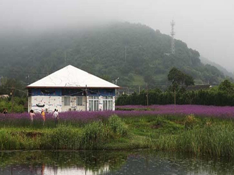 Tawan Golden Sand Scenic Area
