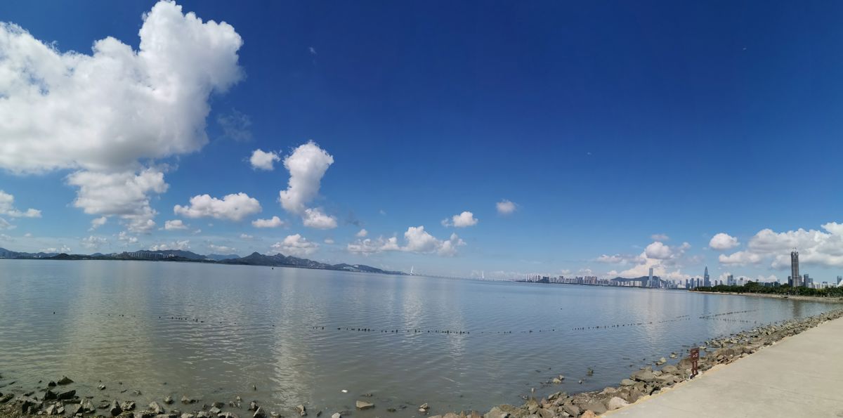 Shenzhen: Garden Expo, Bay Park & Happy Coast in 3 Days