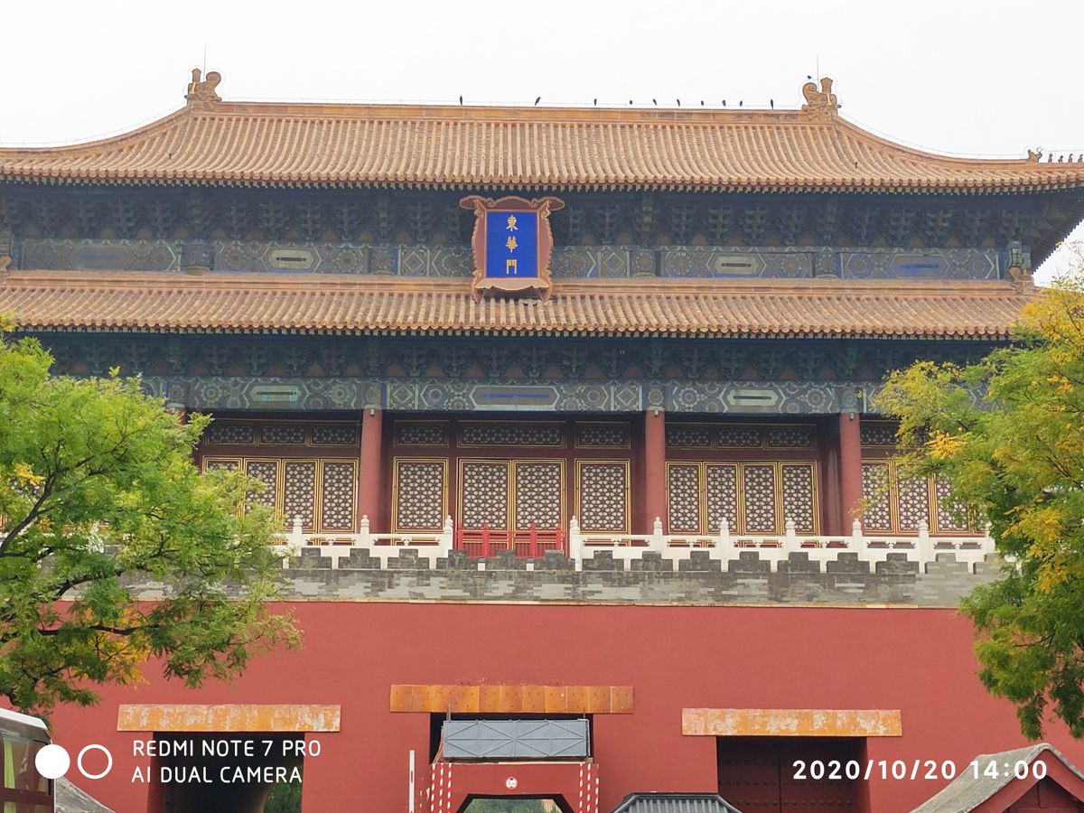 Walking Through 600 Years of Imperial Majesty: A Solo Journey to the Forbidden City