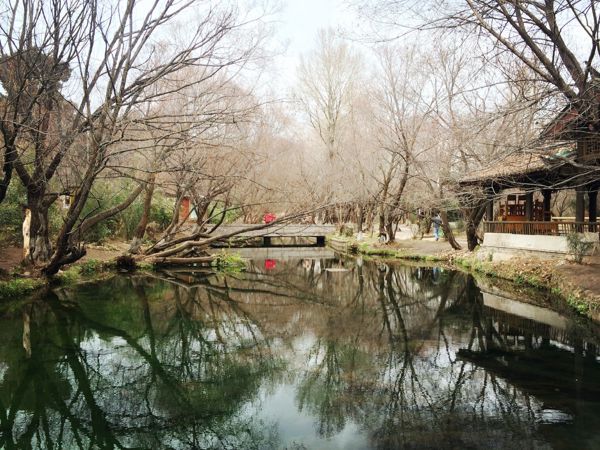 Shuhe & Baisha Ancient Towns Cultural Discovery Day Trip