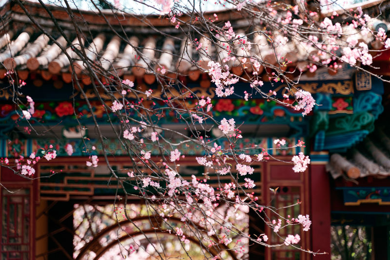 Huize Hall, Yunnan University (Donglu Campus)