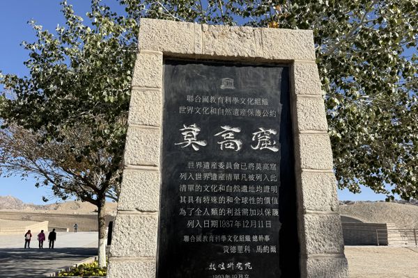 Mogao Caves & Dunhuang Night Market Cultural Day Tour