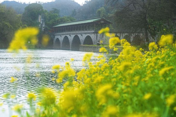 Guilin City Green Lung: Seven Star Park & Guihai Stele Forest Cultural Day Tour