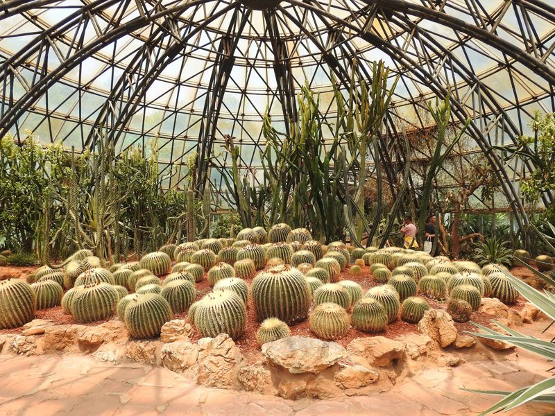 Golden Temple Scenic Area