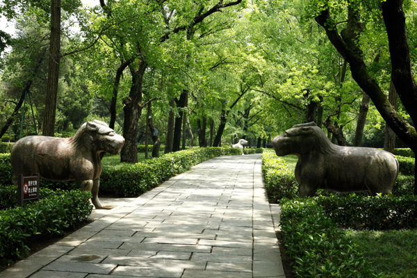 Misty Rain Wandering Through Nanjing