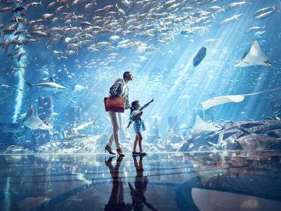 Atlantis Sanya Lost Chambers Aquarium