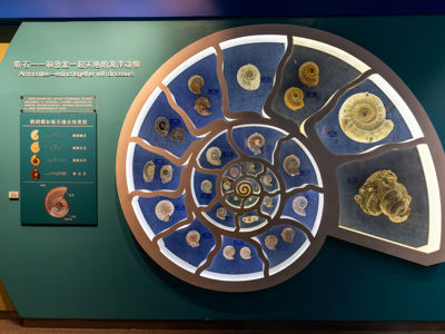 National Natural History Museum