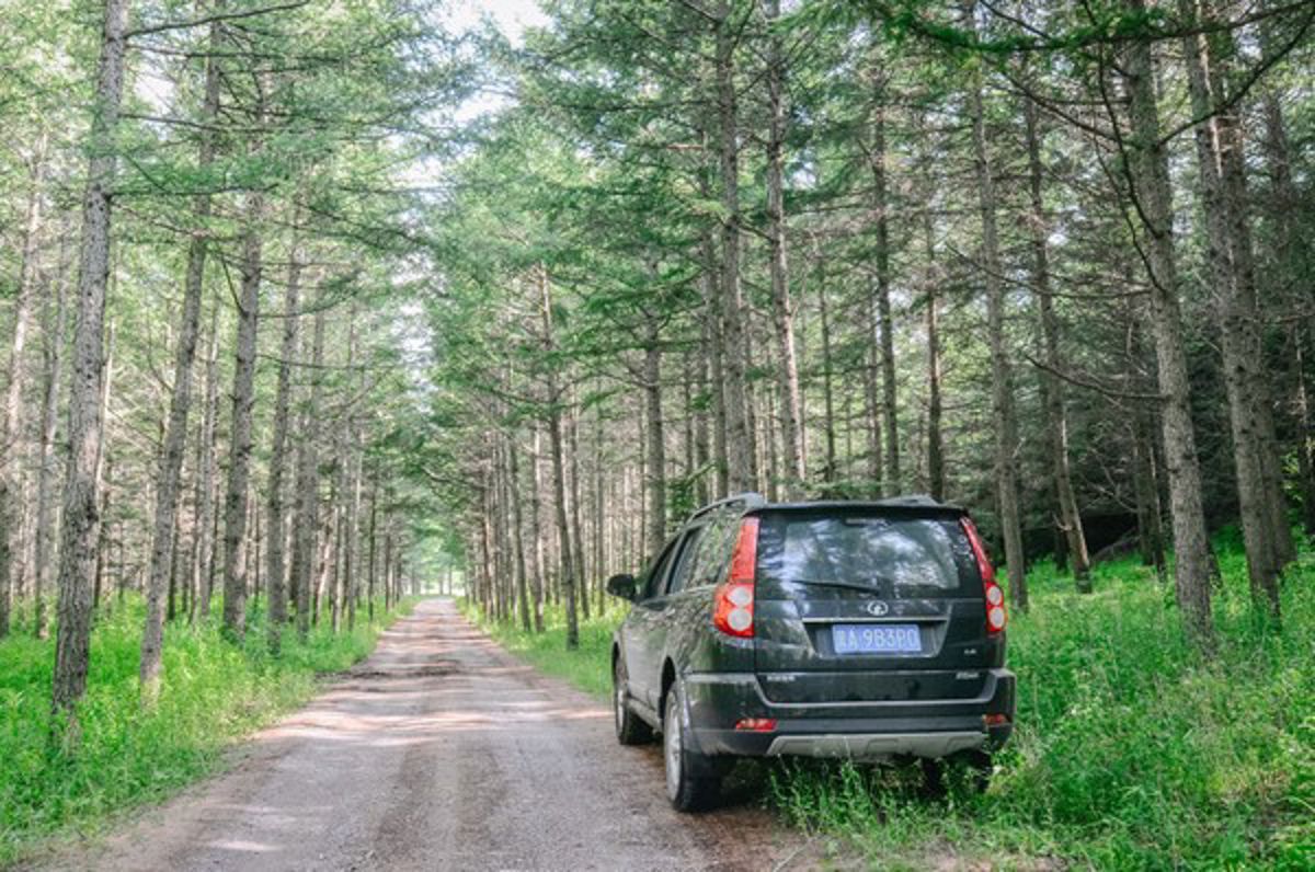 Beijing's Grassland Sky Road: A Self-Drive Paradise Among the Clouds