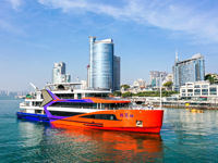 Lujiang Night Cruise