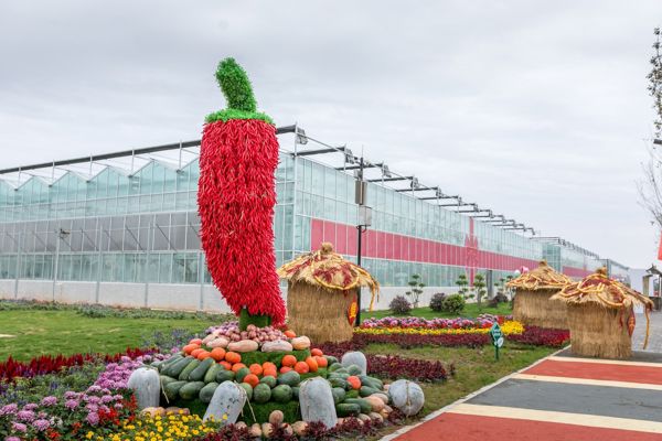 Family Fun & Learning: A Fall Trip to AISIJIA Agricultural Carnival in Kaifeng