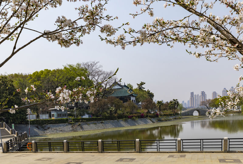 Guqin Terrace Scenic Area