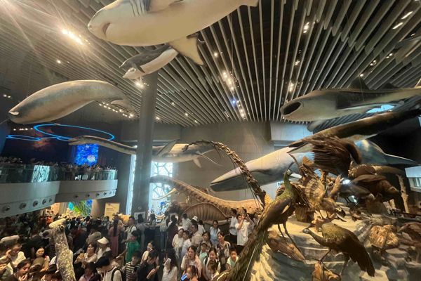 Shanghai Natural Museum + Nanjing West Road + People's Square Urban Stroll