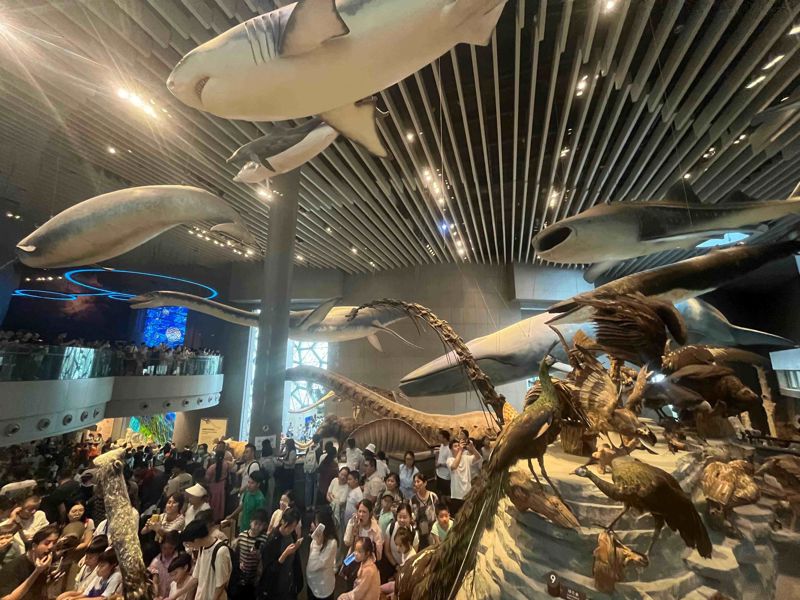 Shanghai Natural History Museum