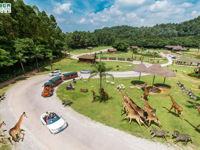 Chimelong Safari Park