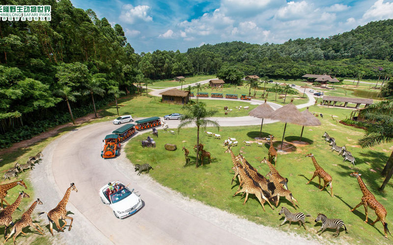 Chimelong Safari Park