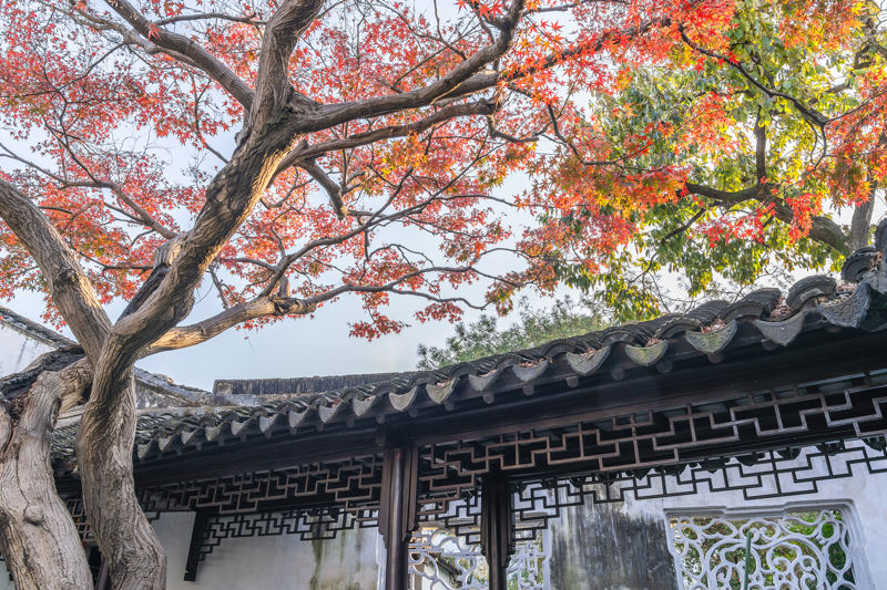 Master of the Nets Garden