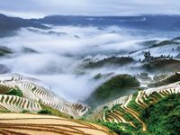 Longji Rice Terraces