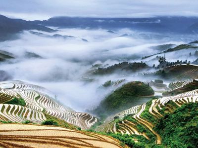 Longji Rice Terraces