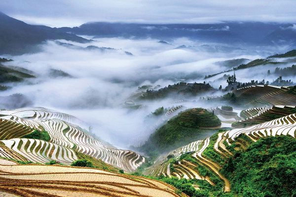 Longji Rice Terraces Classic: Jinkeng Dazhai Photography Day Trip
