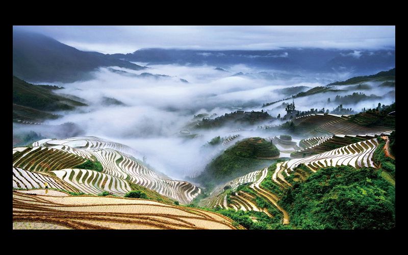 Longji Rice Terraces