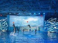 Hahean Qingdao Polar Ocean Park