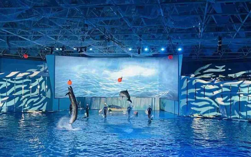 Hahean Qingdao Polar Ocean Park