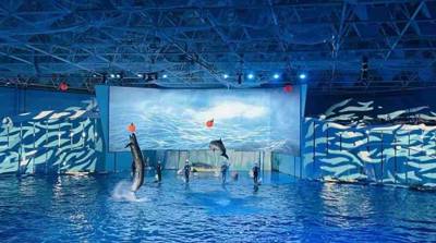 Hahean Qingdao Polar Ocean Park