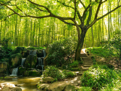 Tiger Hill Scenic Area