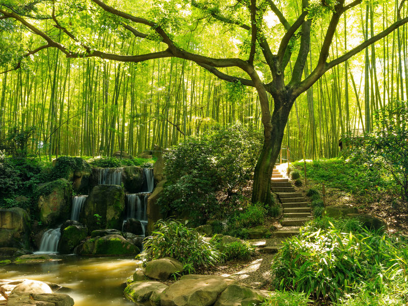 Tiger Hill Scenic Area