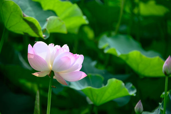 China's First Slow City: Living the Slow Life (Where 'In the Name of the People' Was Filmed)