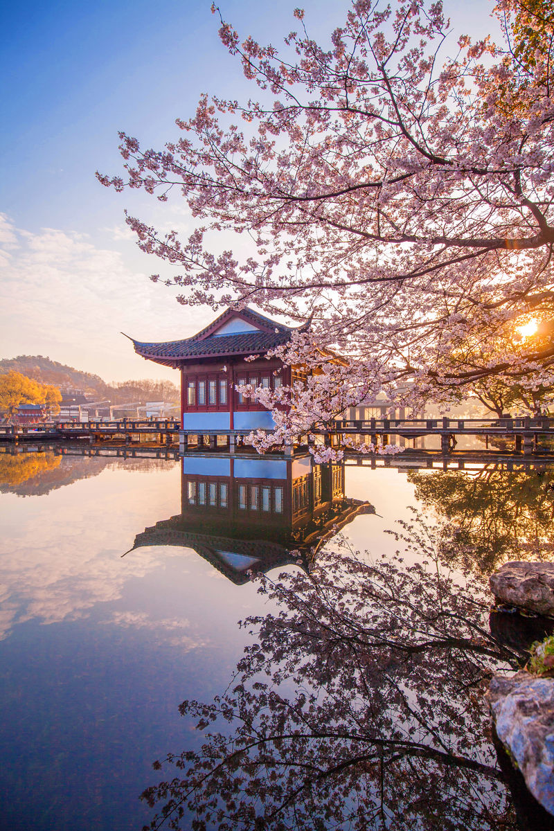 Quyuan Fenghe (Breeze-Ruffled Lotus at Quyuan)